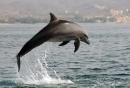 58