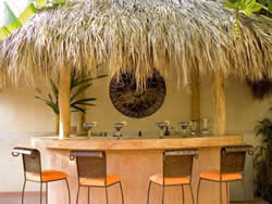 villa encantada puerto vallarta bar